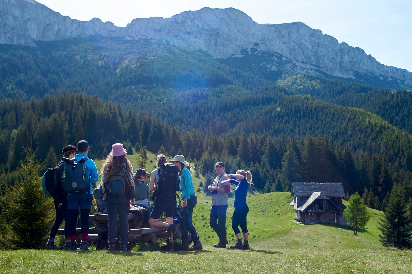 Wildes Rumänien 2.0