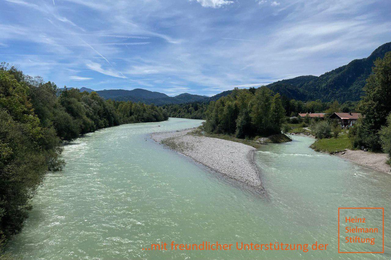 Wilder Lech & Alpen