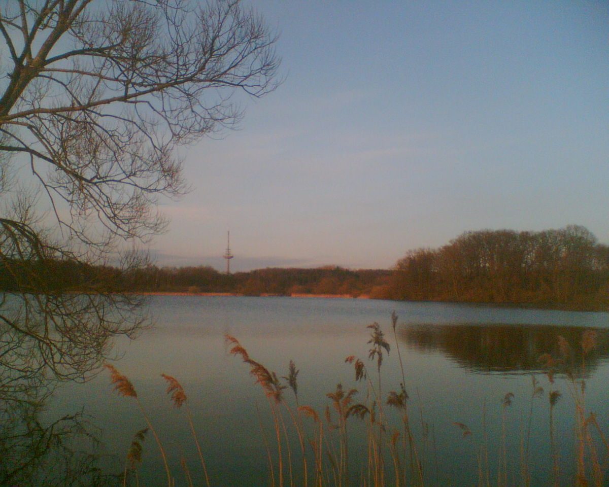 Naturkunde-Treff am Waldhaus