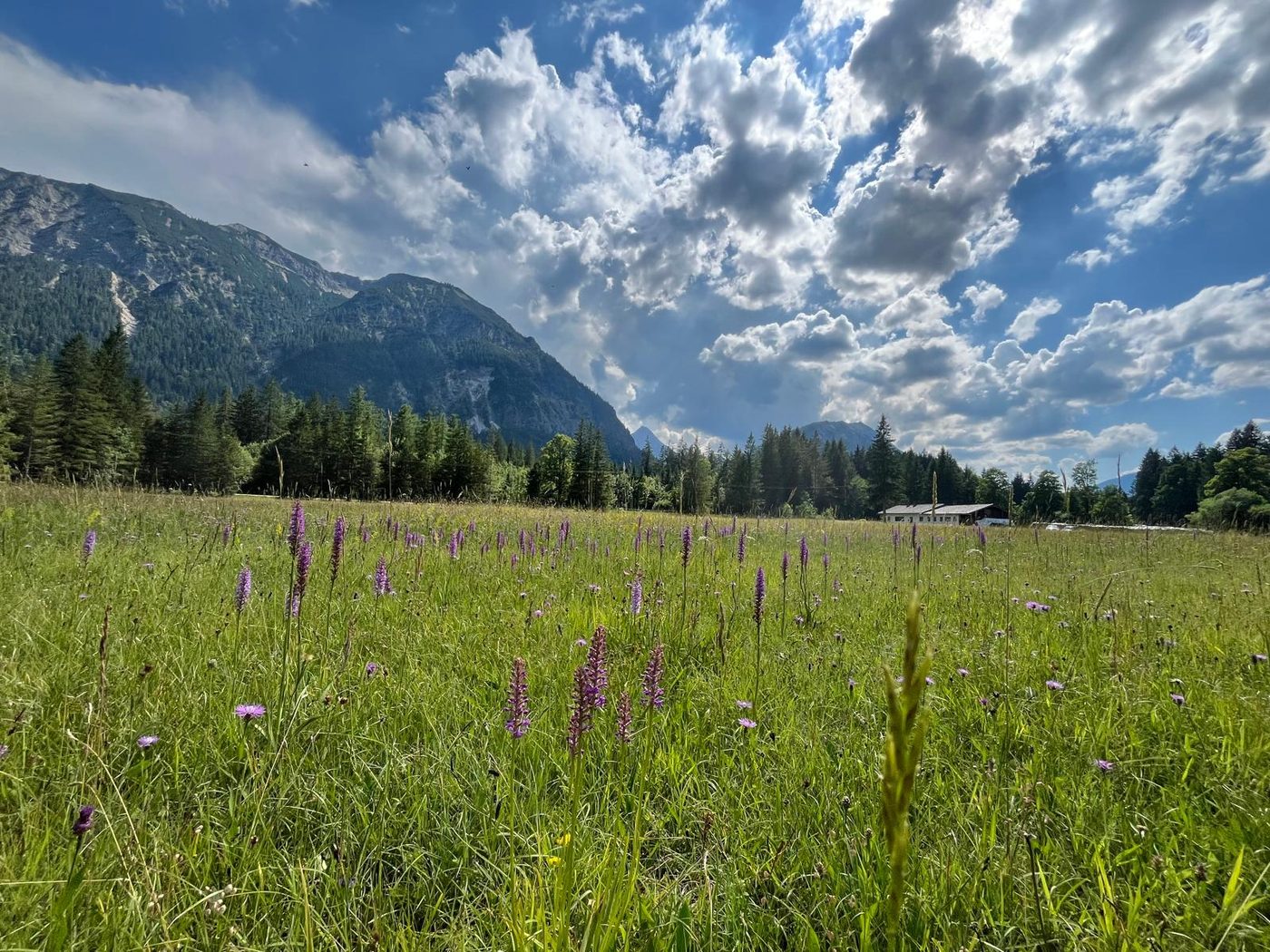 Seminar vor den Alpen