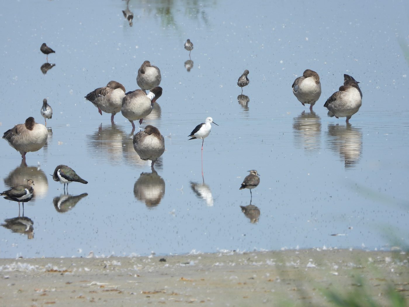 Vogelkiek Seminar